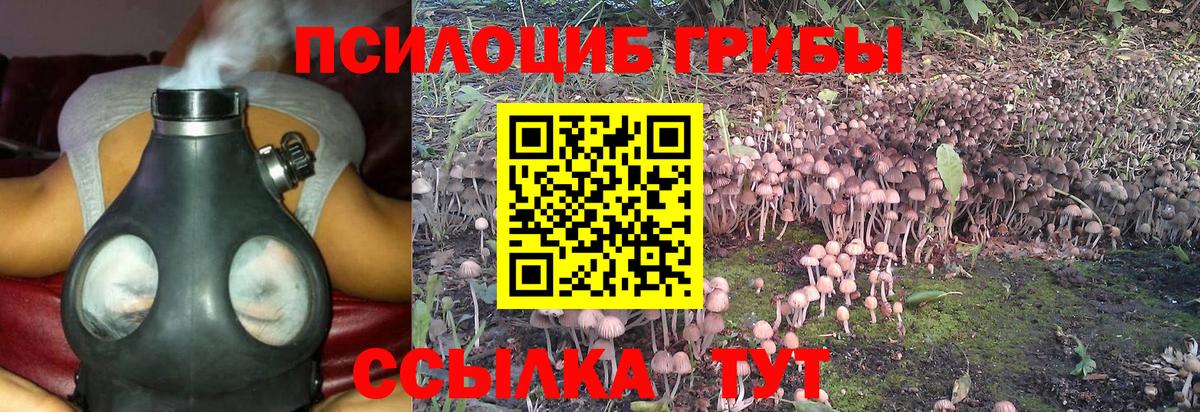 Саяногорск  Галлюциногенные грибы MAGIC MUSHROOMS  продажа наркотиков  Галлюциногенные грибы MAGIC MUSHROOMS  Вход с VPN 